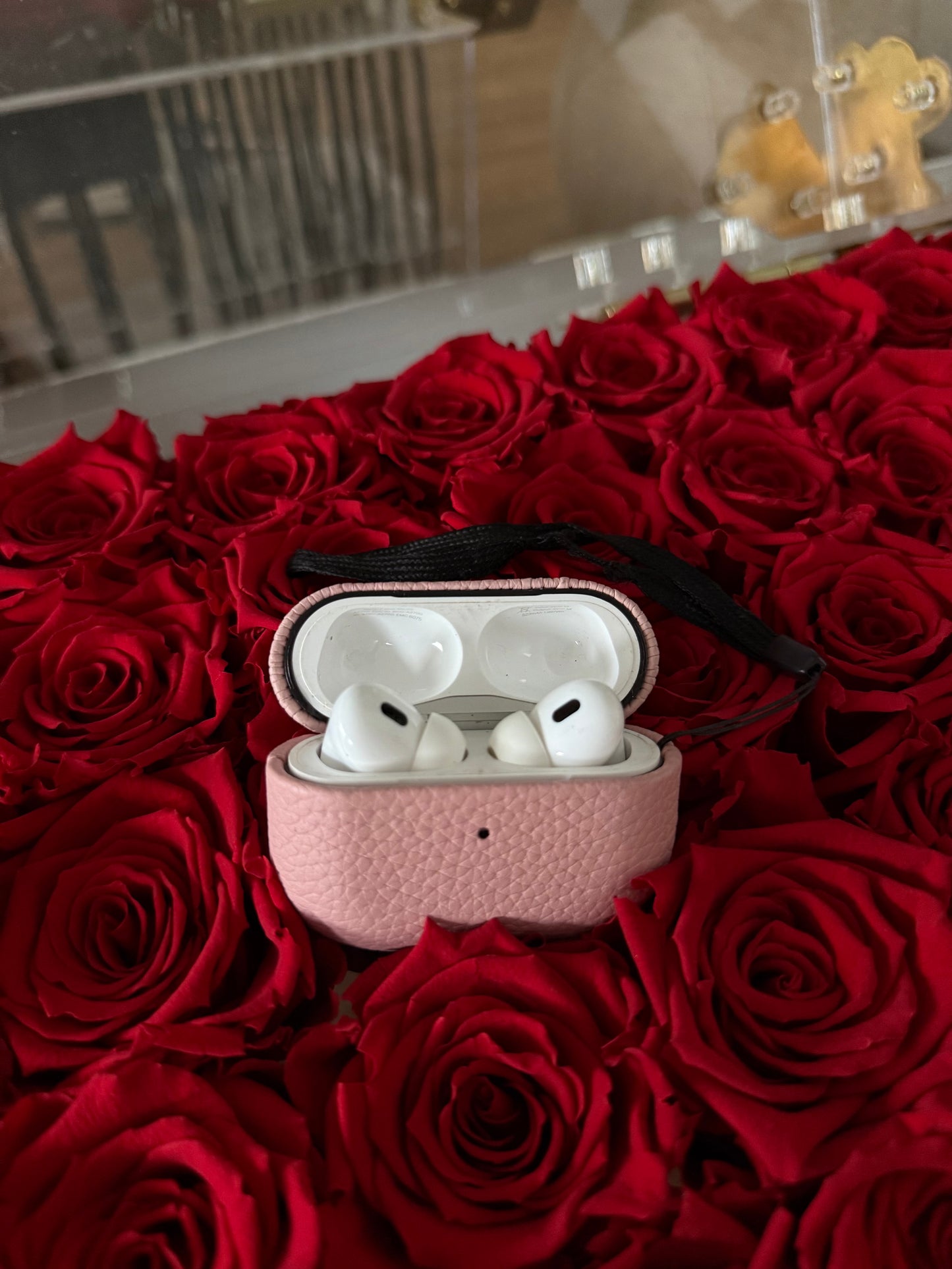 AirPods case