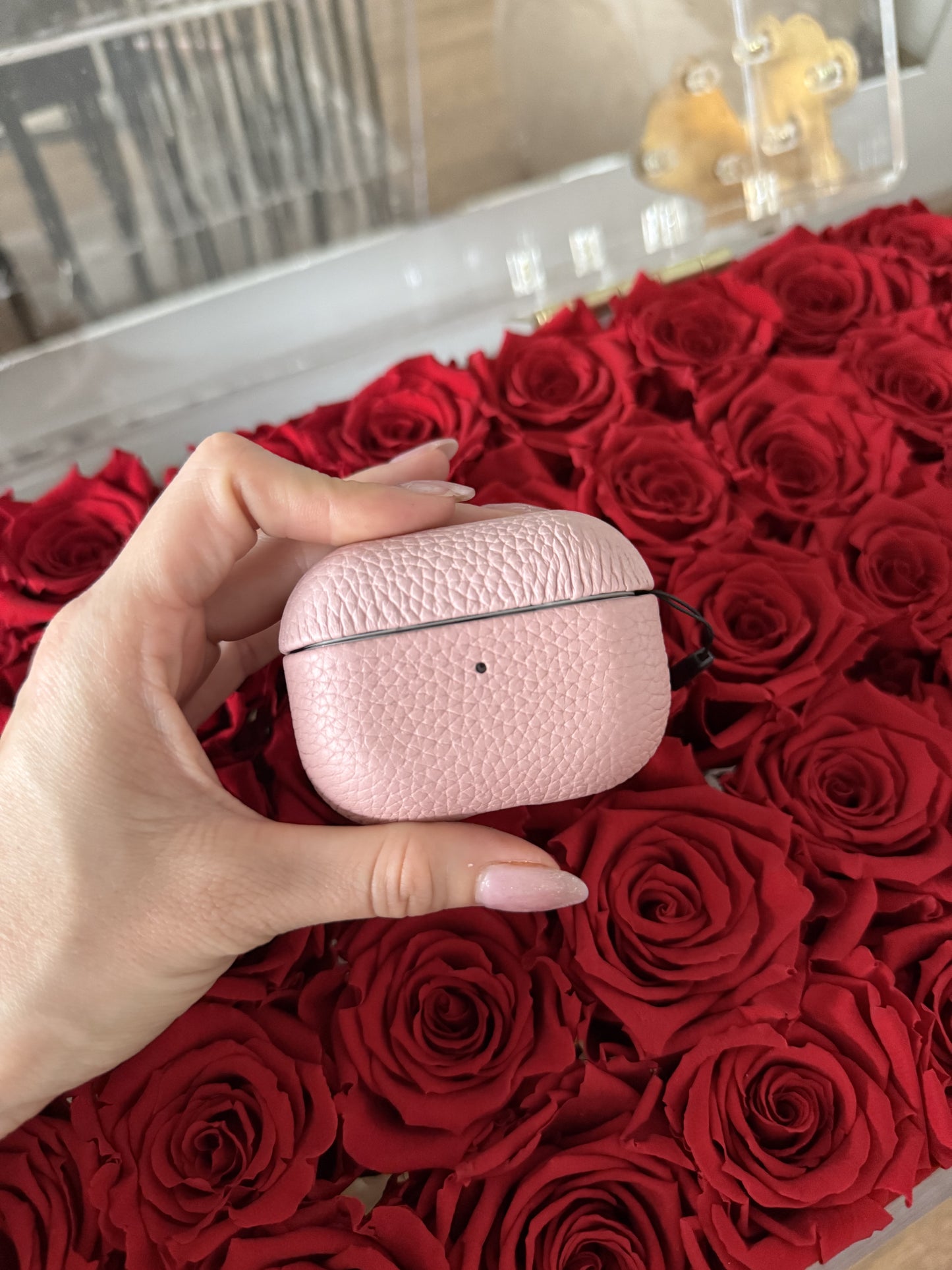 AirPods case